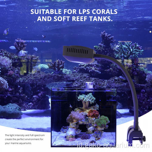 pencahayaan LED akuarium terbaik untuk karang